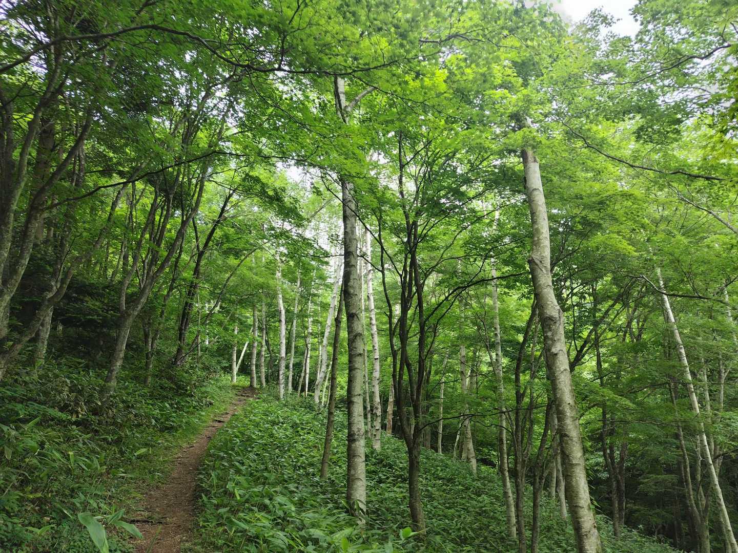 深くて美しい