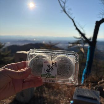 カミさんが用意してたヨモギ饅頭
うまし！

「オメー！この先の行徳山まで行くぞ💢」
いや、それは無理無理！
時間的にもムリっす！
ということで、テンション高いカミさんを説得できました💦
