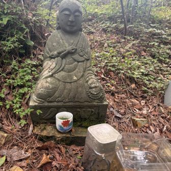 呆れてる？