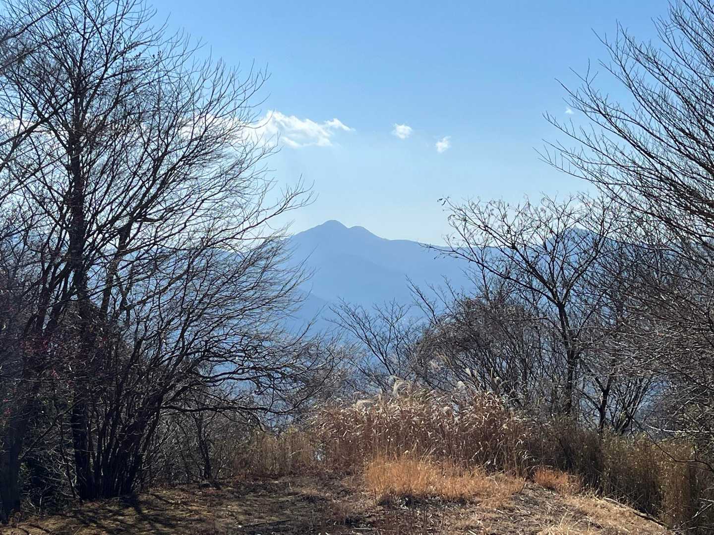 金時山