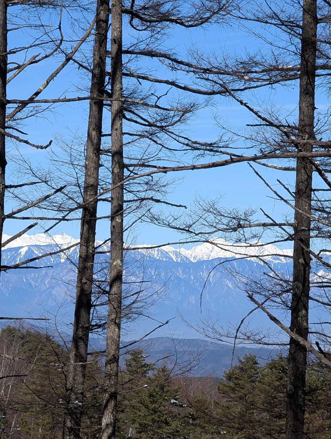 天気☀が良いから眺望も👍ですね〜
山頂からの眺望が楽しみ🤗