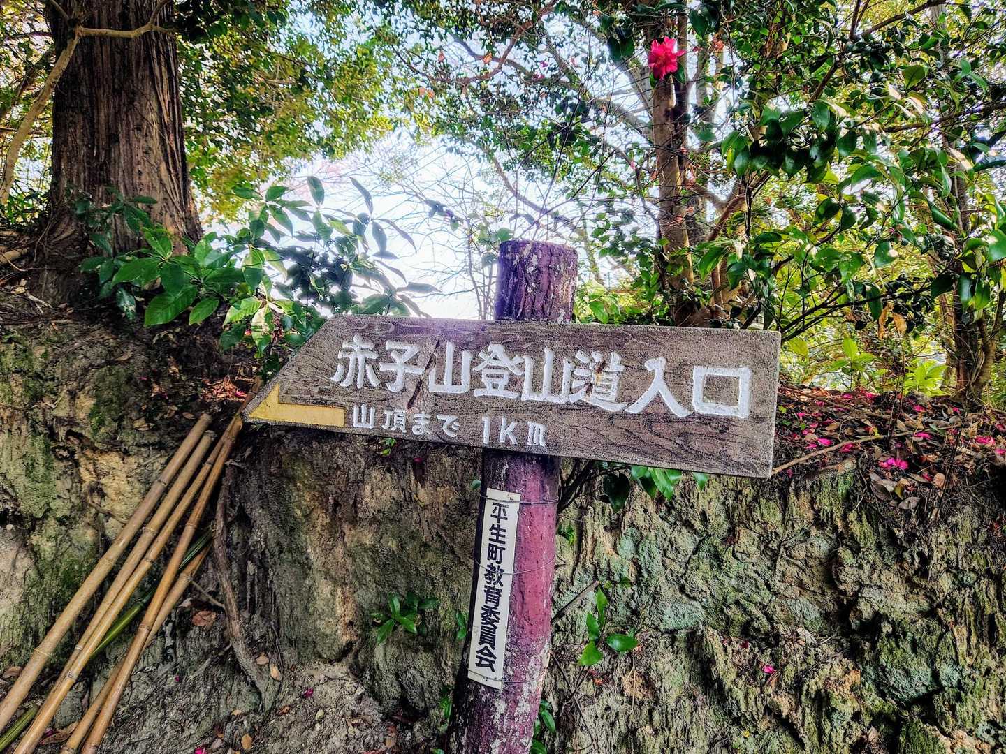 ちょうど一年前に登った赤子山

トレッキングポールを置き忘れて帰って 真っ暗な中友人が取りに行ってくれた思い出の赤子山