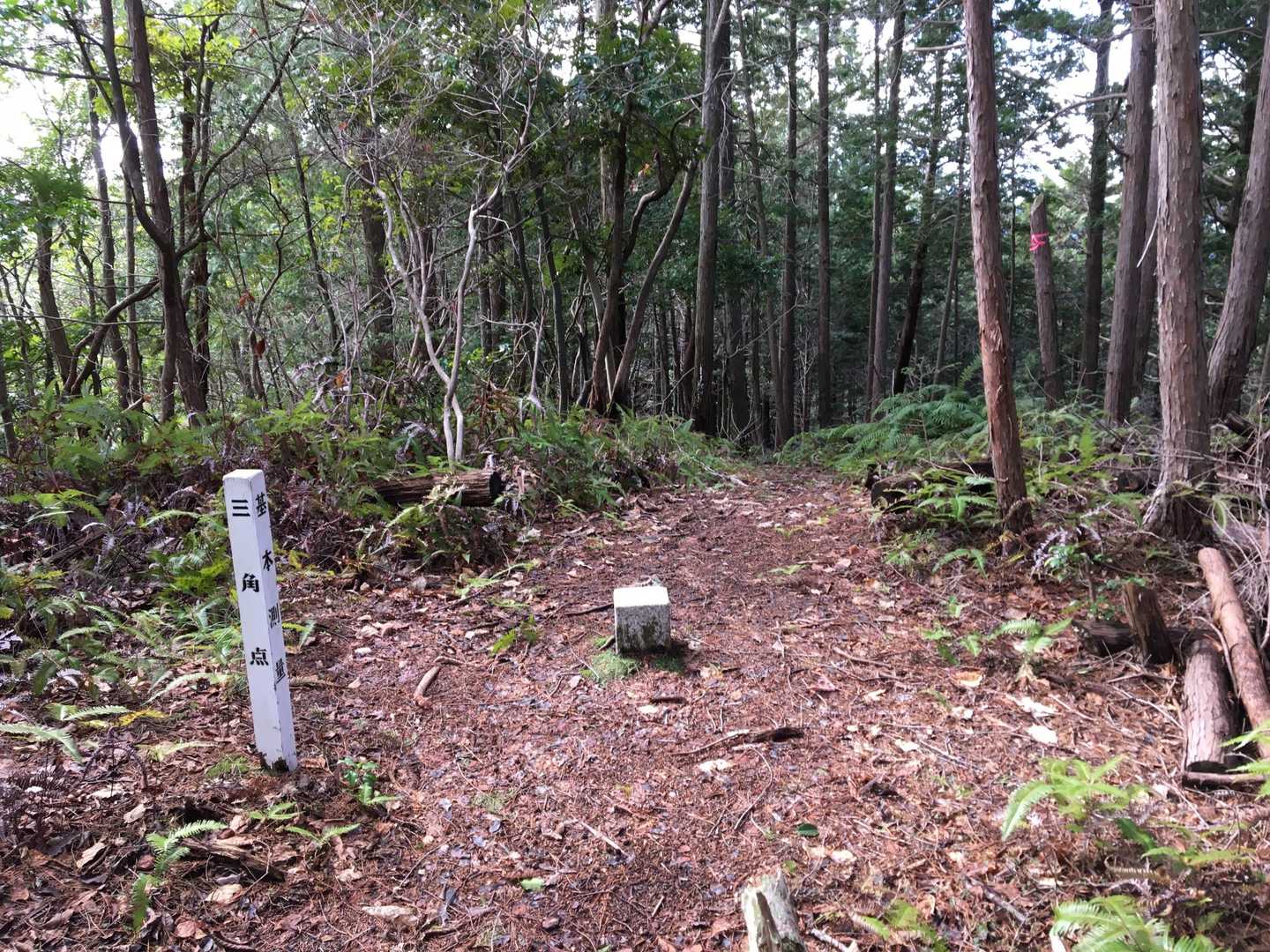 山頂に到着‼️
眺望はありません💦