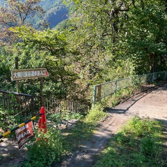 大柳川渓谷遊歩道入口
ここから川まで下ります↘️