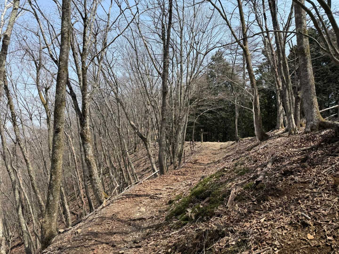 鷹ノ巣山-水根山-城山-六ツ石山-長尾ノ頭 周回コースの写真
