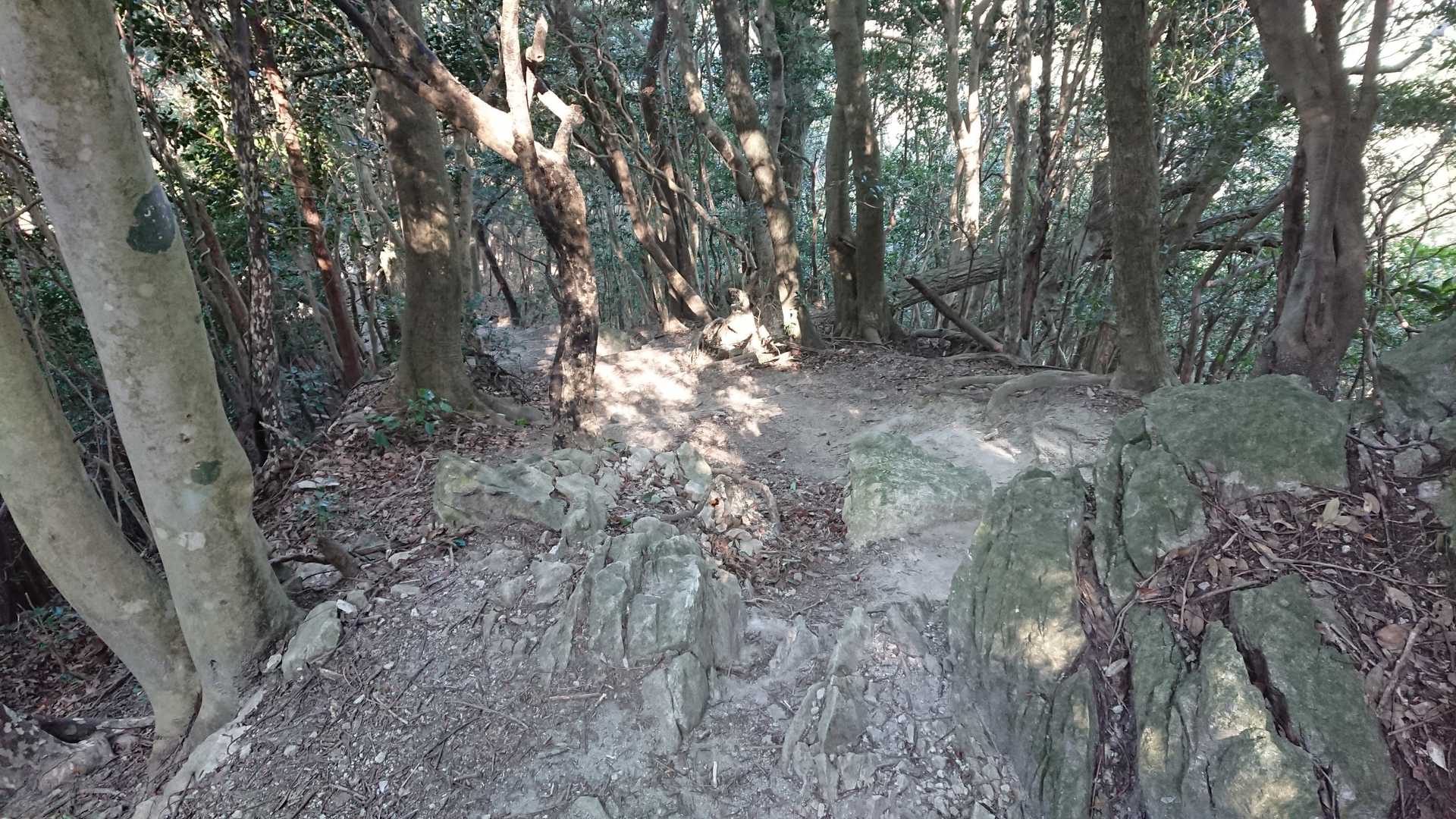 下りが続きます。って事は戻りは…😅