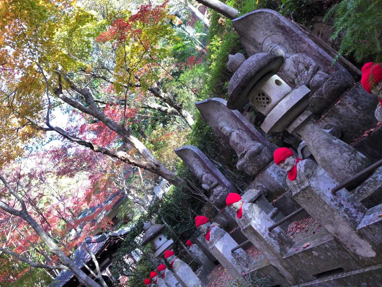 三滝駅-三滝観音バス停-宗箇山-三瀧寺 往復コースの写真