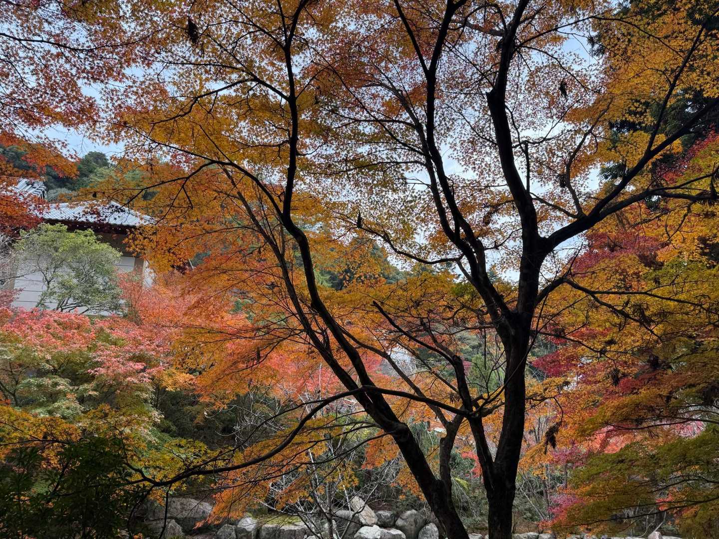 弥山 往復コースの写真