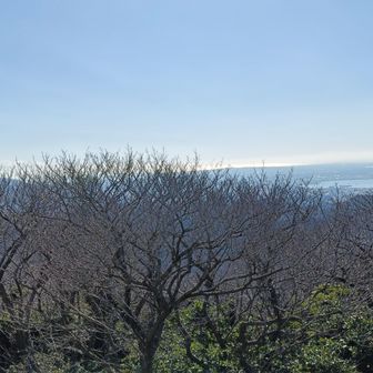 展望台からの眺め
少し霞んでますが綺麗です
