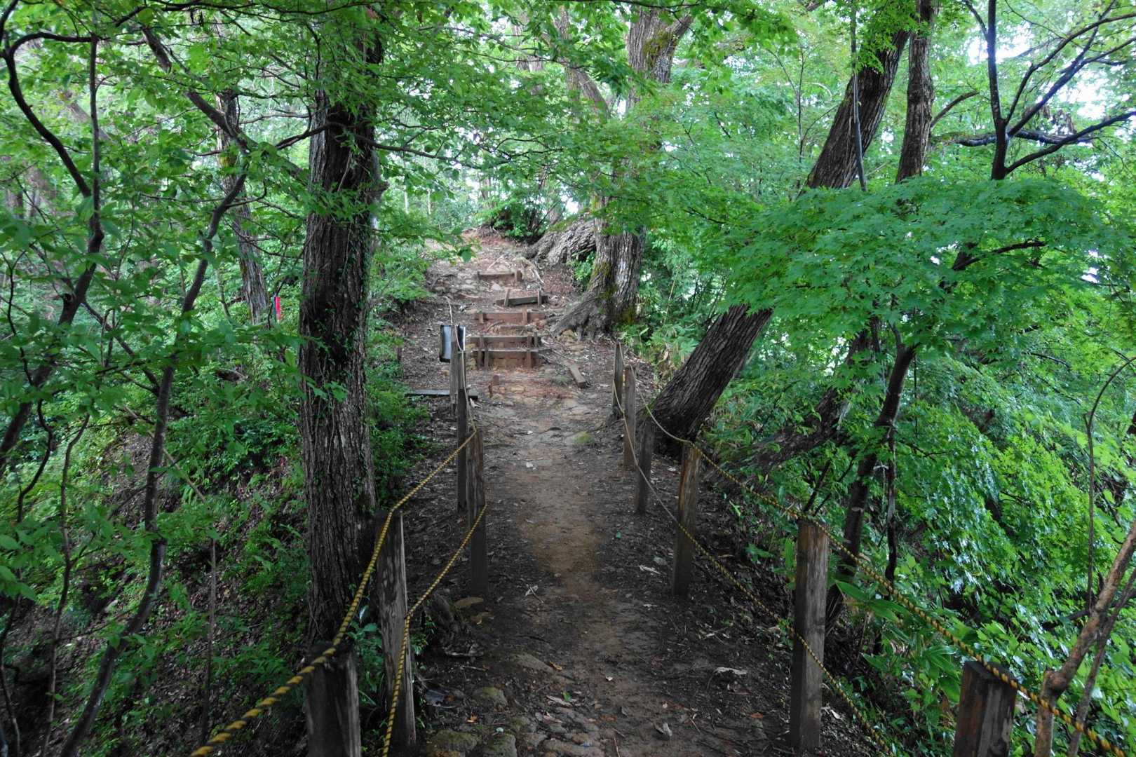 下り始めたら山側が豪雨
暑かったから恵みの雨っていってる場合じゃないな…