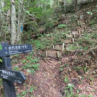 さぁここから下るよ