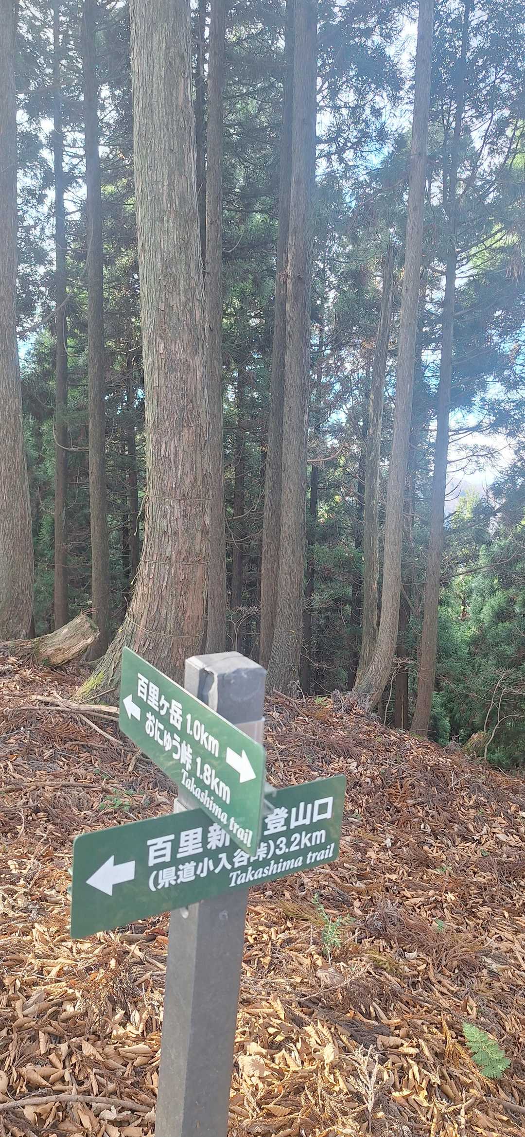 新道登山口との分岐です