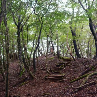 登り返して。