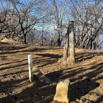 大室山踏破！「丹沢ハイカー」に王手をかけたぞ！