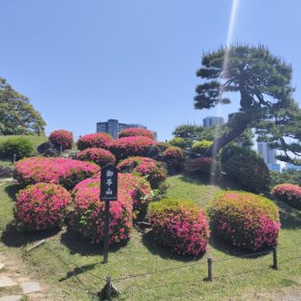 ここもグレーピークの御亭山　スペルが...何っ！Ochin'yamaって？