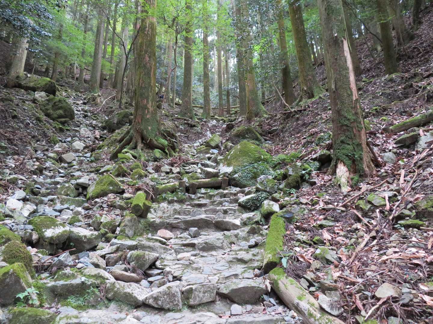 古処山-屏山 往復コースの写真