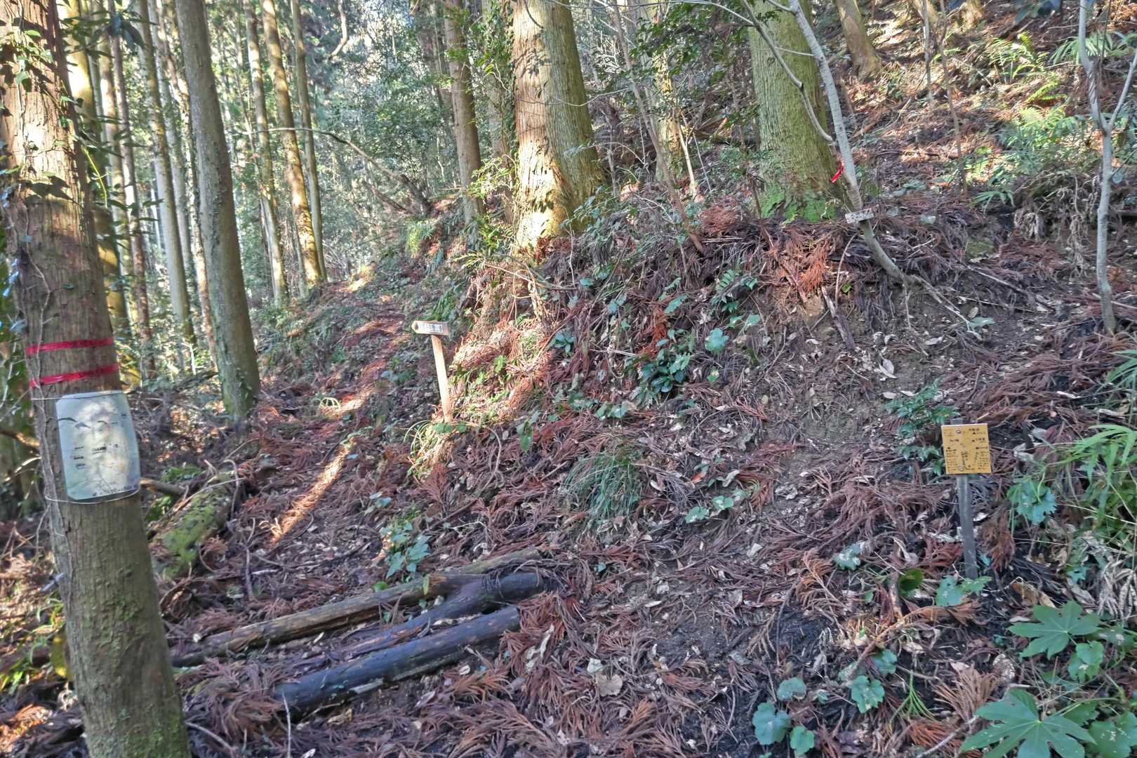 烏帽子岳 往復コースの写真