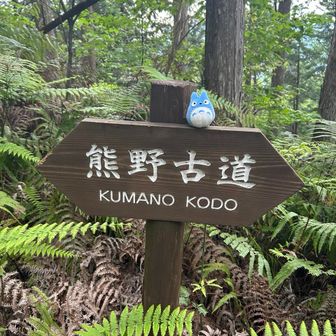 まさたか