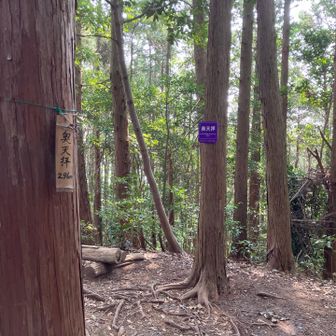 天拝山に近づくと沢山の登山客が。
暫くご一緒させて頂いたり、道中立ち話に花を咲かせたりと諸先輩方と楽しい時間を過ごさせて頂きました。