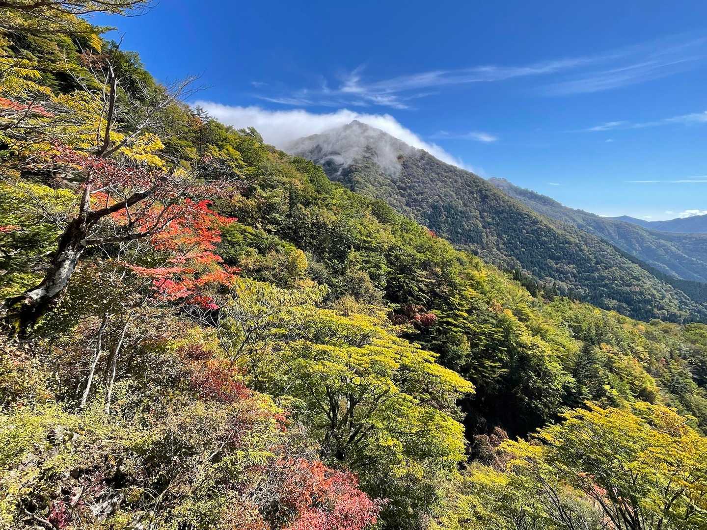 スーパー林道をしばらく歩く
ここから見る紅葉🍁も美しかった