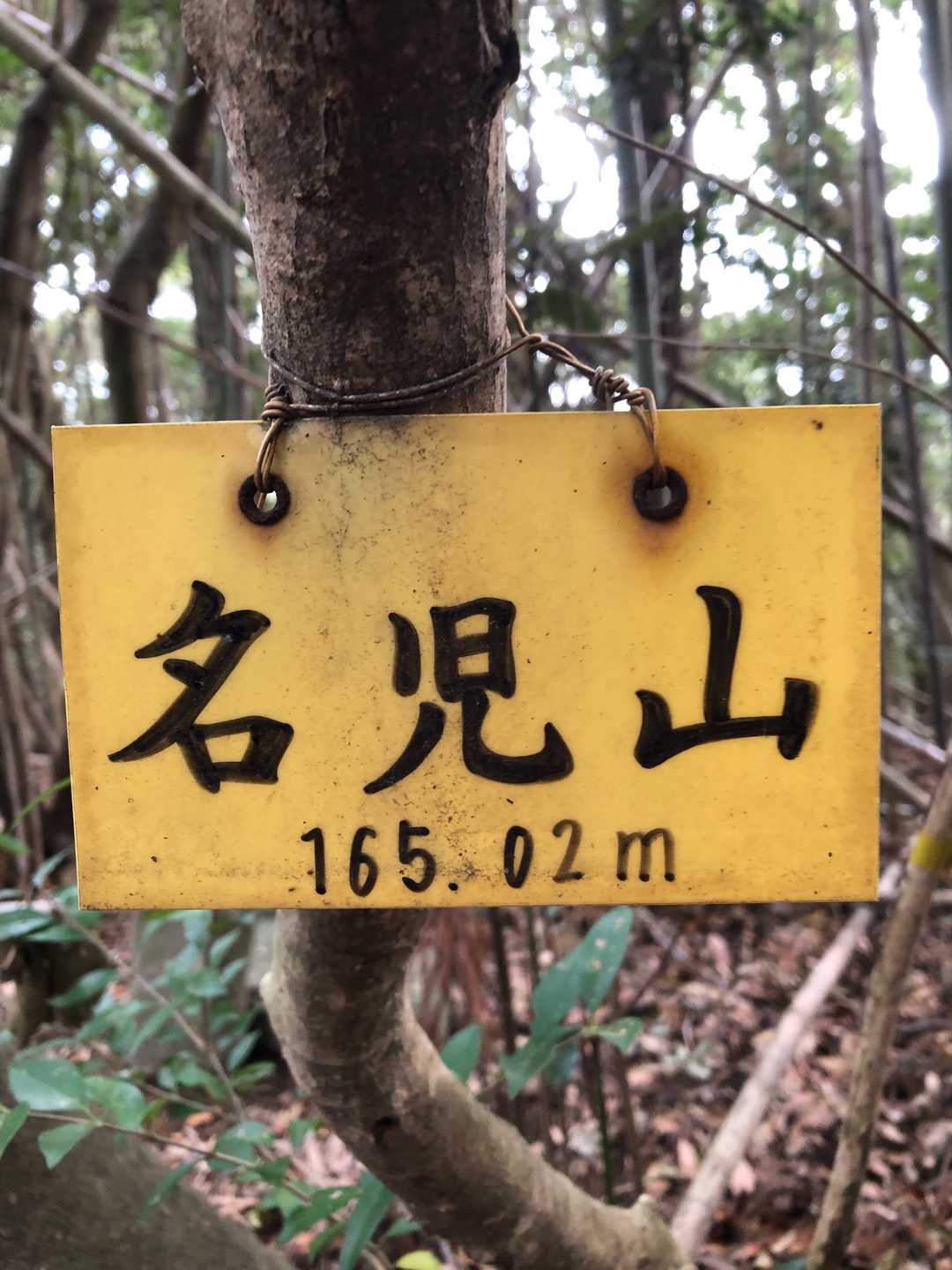 名児山山頂です⛰