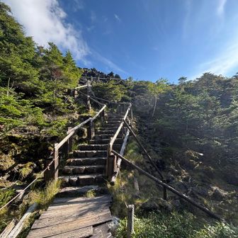 坪庭への入口