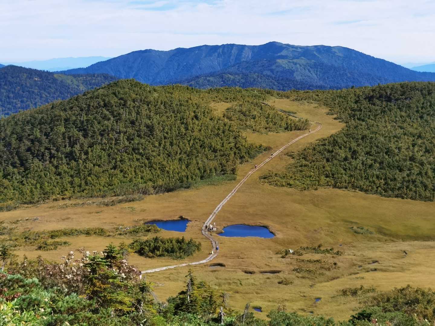 広沢田代-熊沢田代-燧ヶ岳 縦走コースの写真