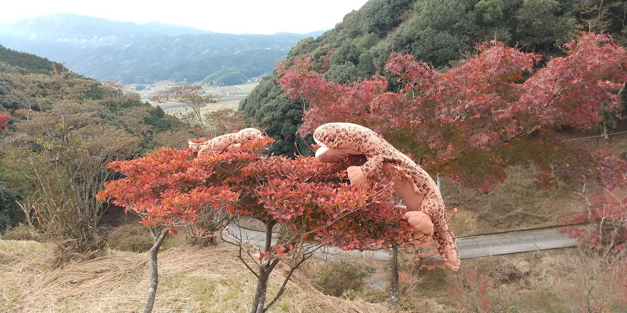 🍁堪能チまチた😃