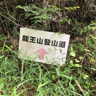 龍王山に戻ります。