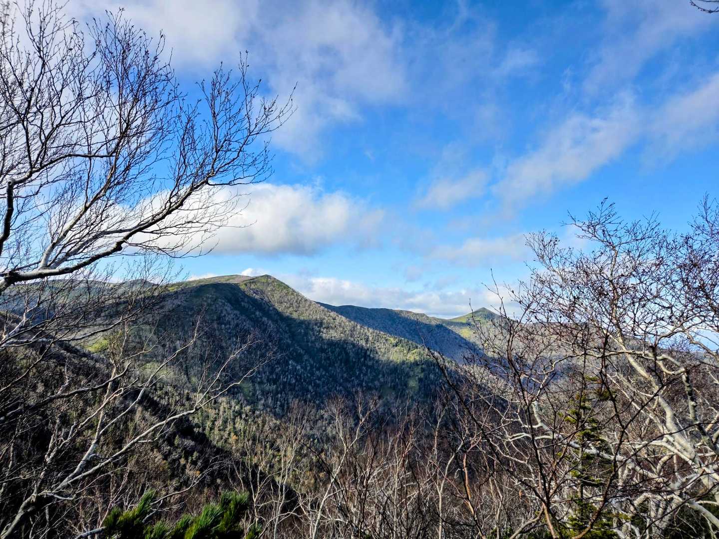 山小屋芽室岳-芽室岳 往復コースの写真