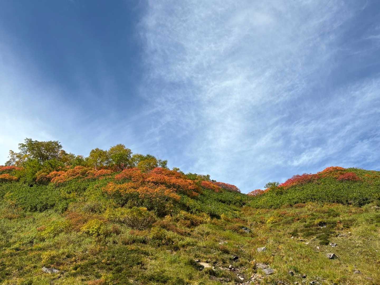 羅臼の大沢とかトムラウシのコマドリ沢とかの雰囲気　沢をあがると比麻奈山までのショートカット