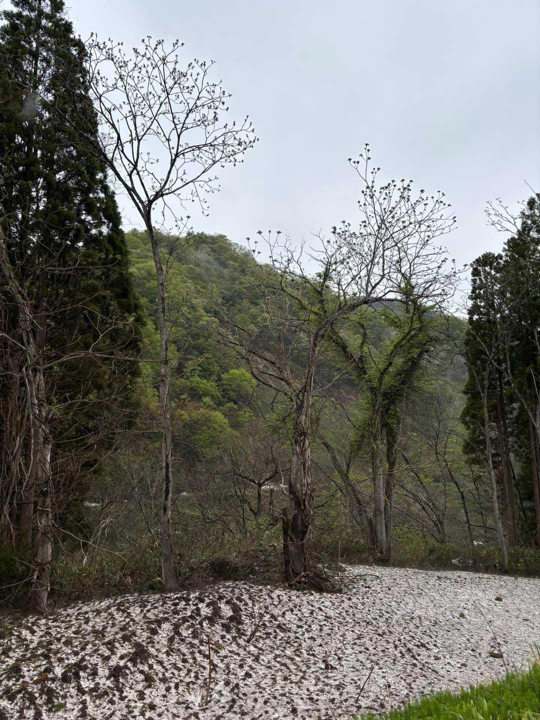 見えるのが高落場山