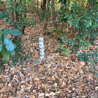 相生山四等三角点