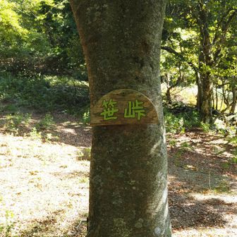 笹峠
