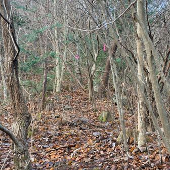 ピンクリボンの有難みを感じながら登っていきます。