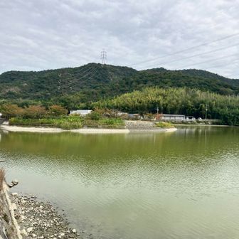 新阿弥陀ヶ池