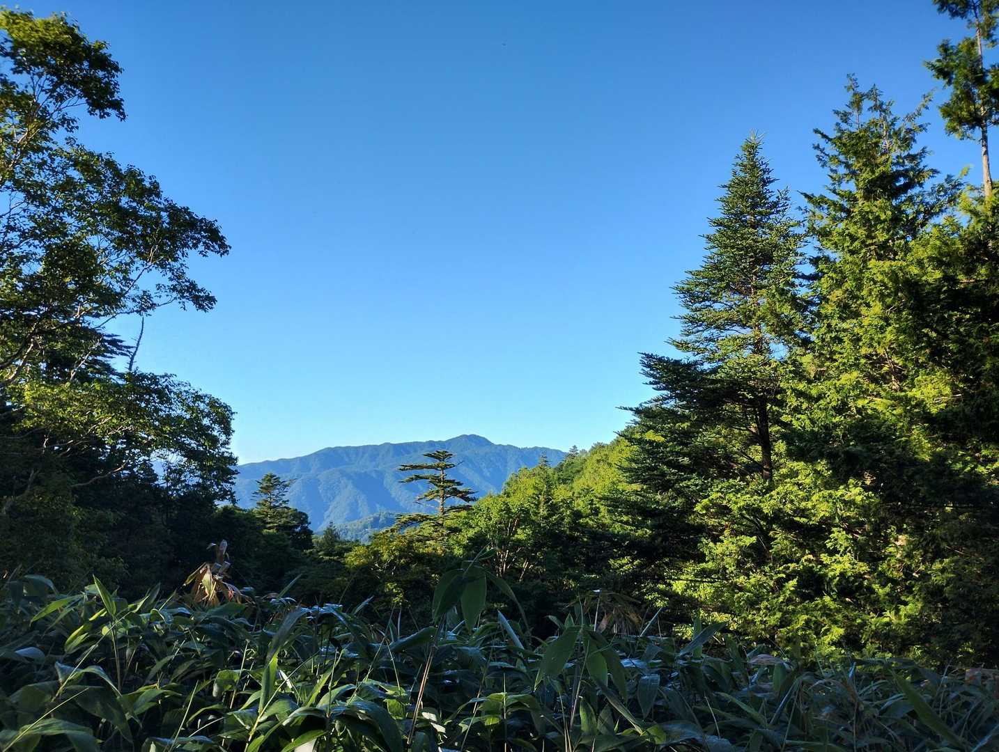 あっ👀　あれはもしや大川入山では！
去年行きたかったが行きそびれた山⛰️✨️　今年こそ😆