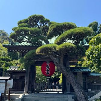 長谷寺の提灯🏮