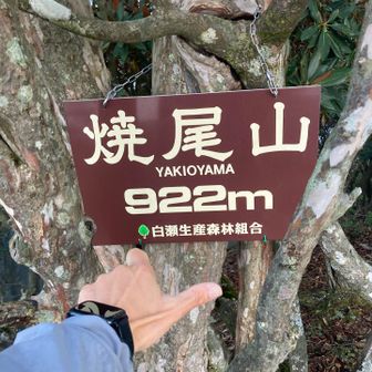 あっという間に焼尾山登頂⛰️