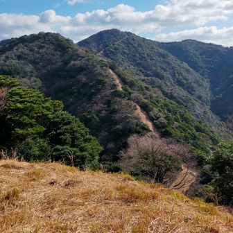 真中のお山が「冨野山」
あそこに行かねばなりません。

そして、ここから下りねばならず😑
樹林帯に入り下りて行く事に・・・
此方界隈の下り、傾斜が凄いので木伝いに・・・

ど〜にかこ〜にか着地!