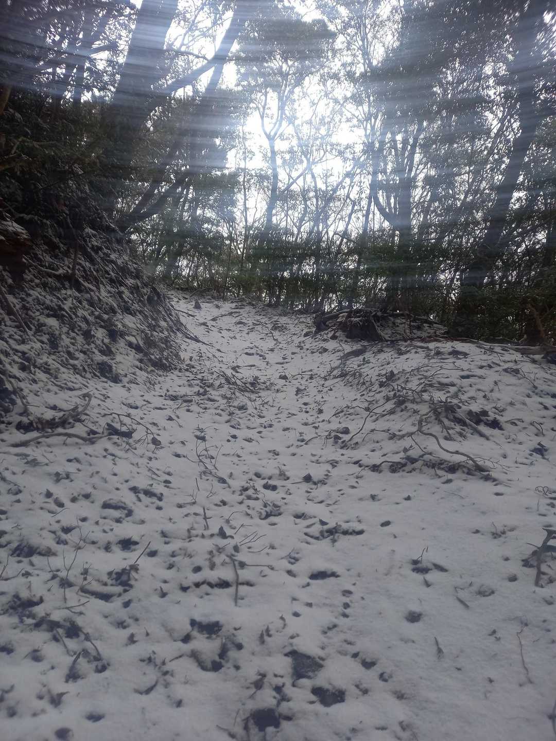 大黒山 往復コースの写真