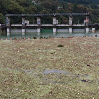 相模ダム。
遠目で見間違いかな？思ったが‥すごい堆積物だった💧台風め！
これを処理するの大変だろうなぁ