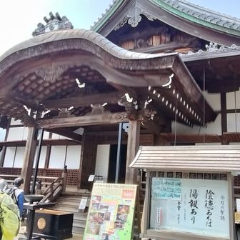 八幡山の山頂にある村雲御所瑞龍寺門跡😌
豊臣秀次の菩提寺らしい😌