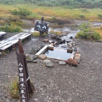 湧いてます