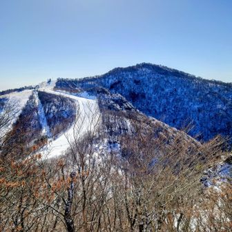 五ヶ瀬スキー場は多くのスキー🎿客で賑わってました
（レストハウスでカレー🍛食べたいな😄）
