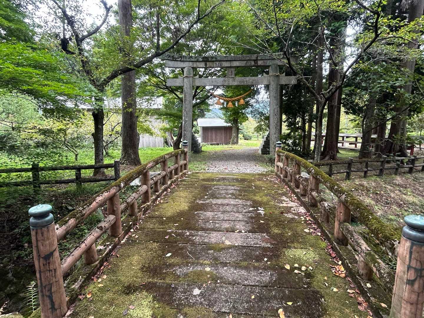 🅿️へ戻ります　秋は紅葉🍁がきれいそう