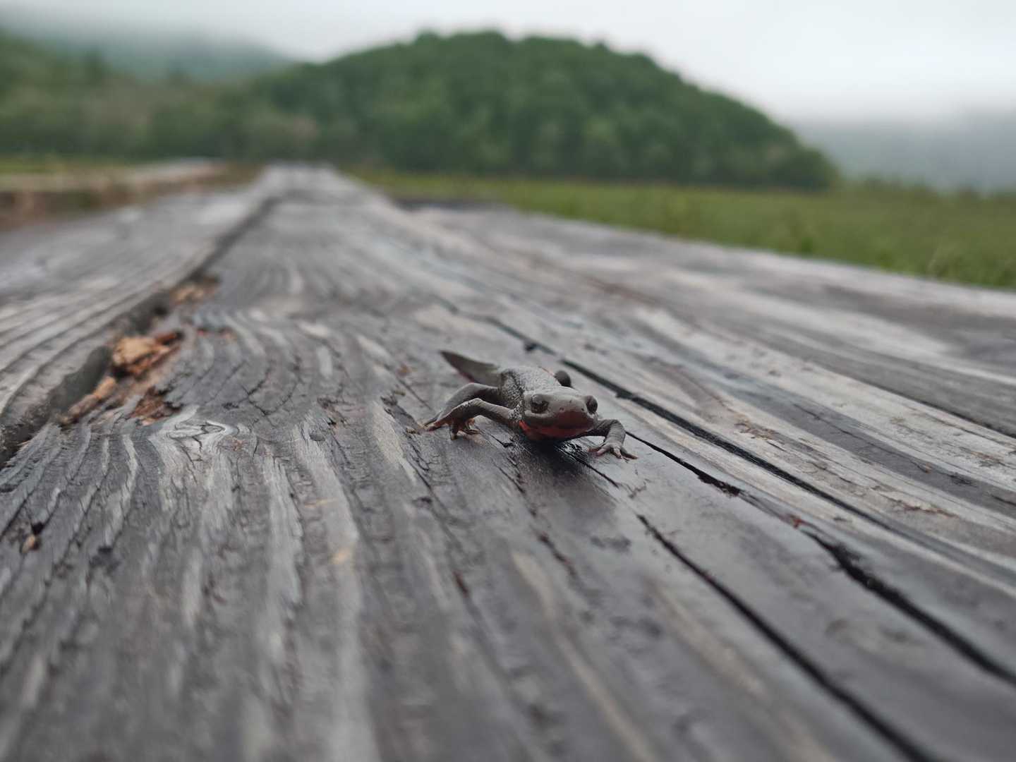 気をつけてね👋
