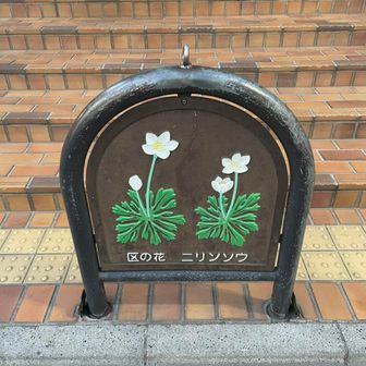 ぽんた