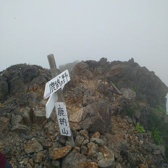 こちらもガスってるし、ブヨ・ブユの大集団だらけで早々に退散