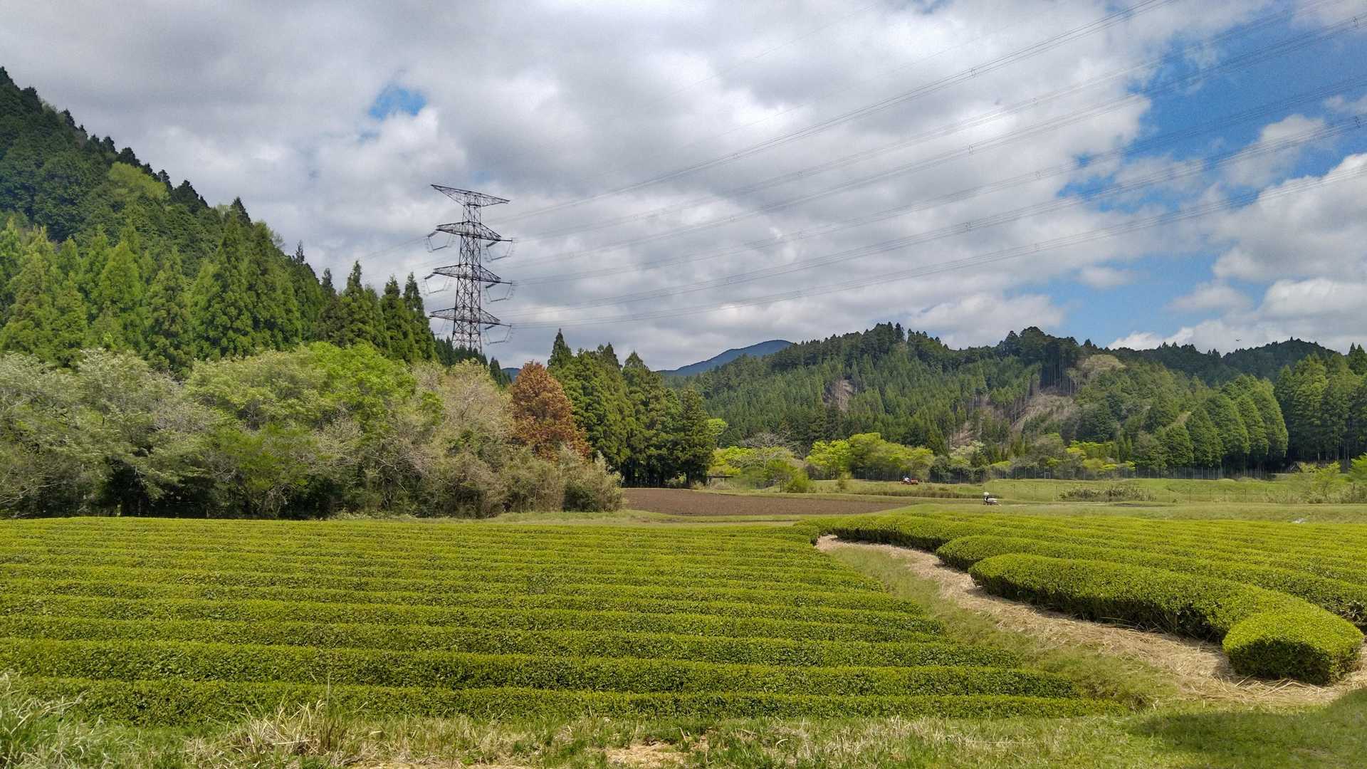 鈴鹿峠-三子山-四方草山-霧ヶ岳-相場振山-山女原バス停 周回コースの写真